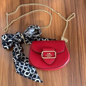 Coach Morgan Card Case on chain. Will include twillie